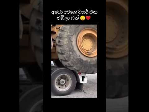 අම්බො එක 😌❤️‍🩹#shorts #bussid #1m #truck #buslovers #automobile #shortfeed #trending #youtubeshorts