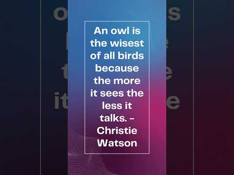 #shorts  THE SILENT OBSERVER  |  QUOTE OF THE DAY