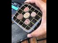 Best technique to report lithops plant. #lithops #succulent #repotting #repottechnique#shorts