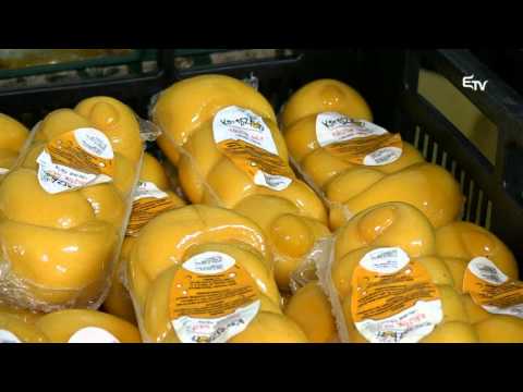 Tájkép: Nagyküküllő Mezőgazdasági Szövetkezet – 2016. március 7.