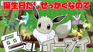 【BDSP】誕生日だしポケトレ使ってイーブイ色厳選【ポケモンダイパリメイク】