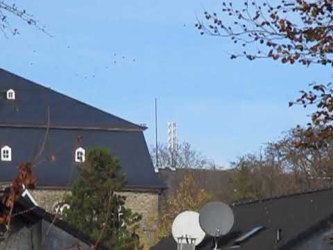 MVI  Sirene Sonnenburg 03 11 2018 12 25