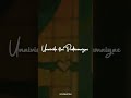 Imaiyil Irukkum Iravu Urakkam Song Whatsapp Status Shortsfeed Reels Instagram