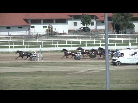 2017.08.05. 1. futam - LŐVÉR HENDIKEP