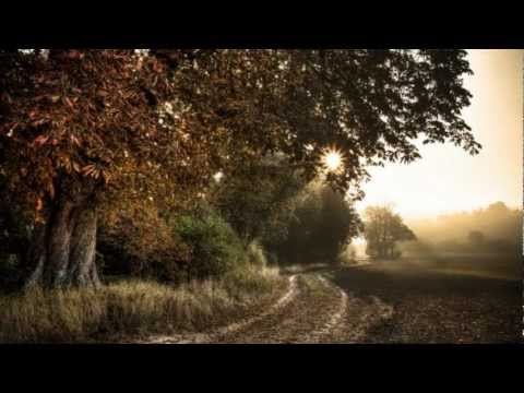 Birkwin Jersey - Heliotrope