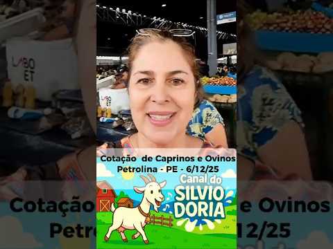Cotação de Carne Caprina e Ovina - Petrolina - PE - 26/12/25 #caprino #ovino #cotação
