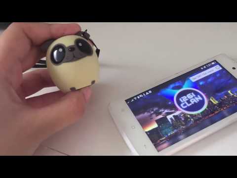 download lagu mp3 mp4 My Audio Pet Com, download lagu My Audio Pet Com gratis, unduh video klip My Audio Pet Com