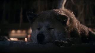 Hachi -  I will wait for you