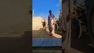 Download lagu cowboy 🤠 🐄🐮 #ytshorts #shorts #trendingshorts #cow #cowboys mp3