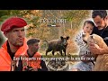 Saison Chasse 2024 Chasse Au Sanglier Dans Le Lot Au Pays De La Truffe