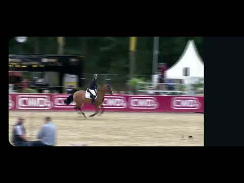 Bundeschampionat- 6yr.old Canstakko x Quantum
