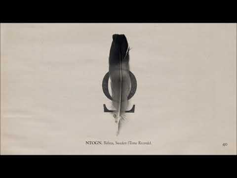 The Memoir - Page 40: Ntogn (Live, May 2019)