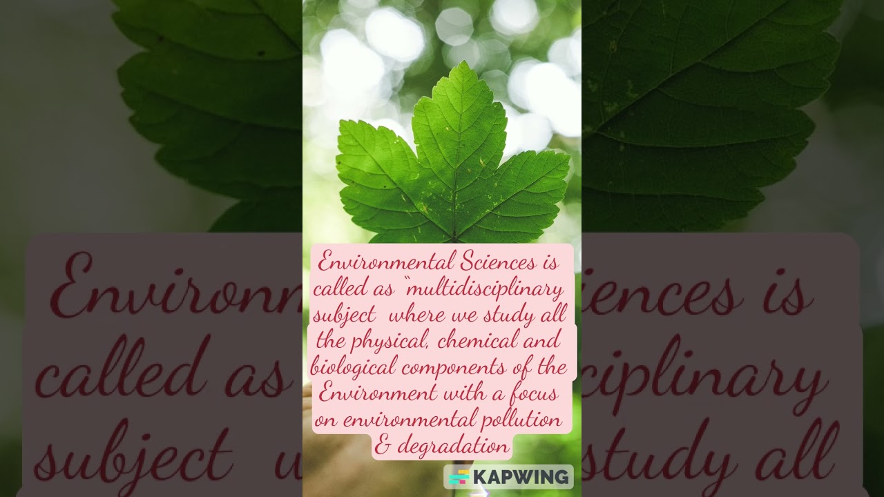 Basic definition of Environmental Sciences #visionaryclasses #environmentalscience