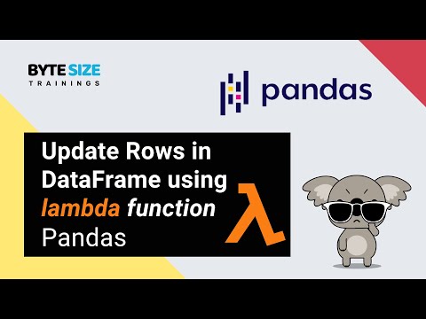 Update Rows in a DataFrame using Lambda #pandas #python #jupyternotebook #lambdaexpression