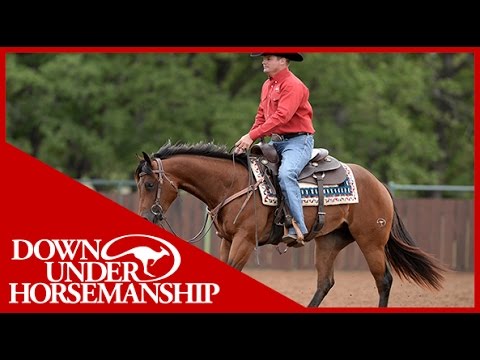 Clinton Anderson: How to Refine Lead Changes - Downunder Horsemanship