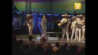 Juan Gabriel, Te Voy a Olvidar - La Farsante, Festival de Viña 2004