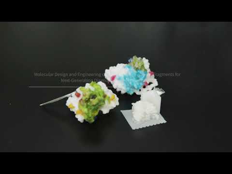 応用生物学課程 【京都工芸繊維大学】（研究紹介）分子化学系　熊田陽一 准教授