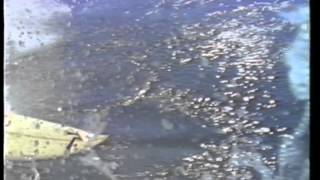 Rusty &quot;Under the Same Sun&quot;