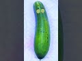 Cucumber Needs Surgery Baby Birth Shorts