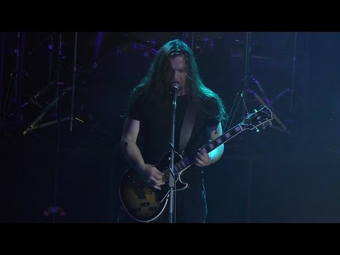 Psilocybe Larvae - Live in St.Petersburg, Russia, 30.01.2016 - FULL SET