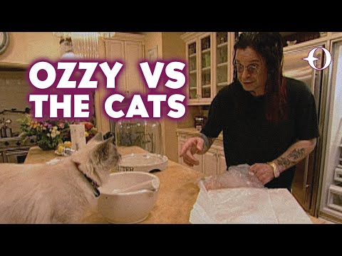 Ozzy vs The Cats | The Osbournes TV