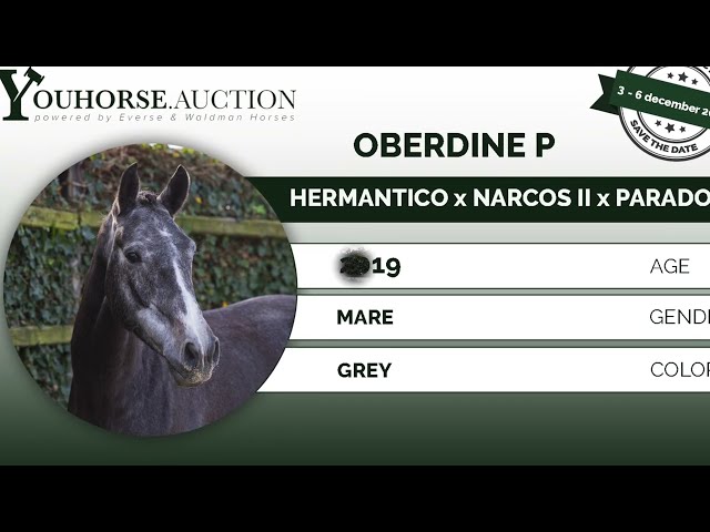 Oberdine P