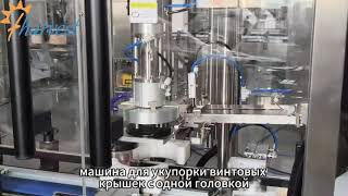 Одноголовочная укупорочная машина расширяет возможности малых и средних производственных линий.