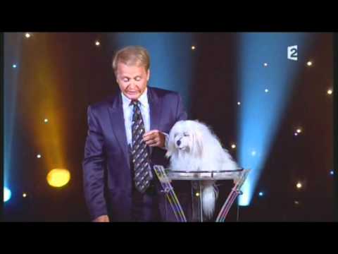 Marc Métral au Grand cabaret 16/10/10