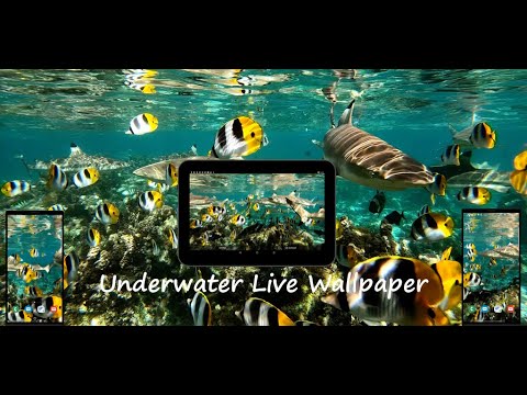 Underwater Live Wallpaper Video