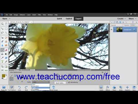 Photoshop Elements 2019 Tutorial The Color Replacement...