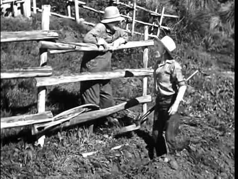 The Real Mccoys S5E17 George's Nephew