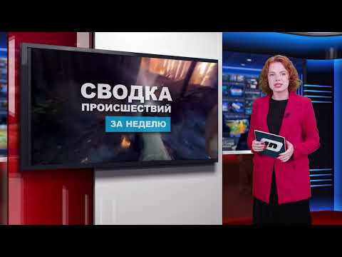 Сводка происшествий / 05.08.2024