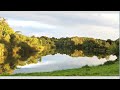 Oj U Haju Pry Dunaju In The Grove By The Danube