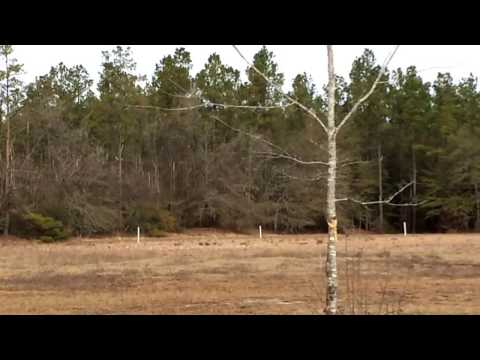 Skeet shooters at Knobby Nobles gun club in South Carolina.