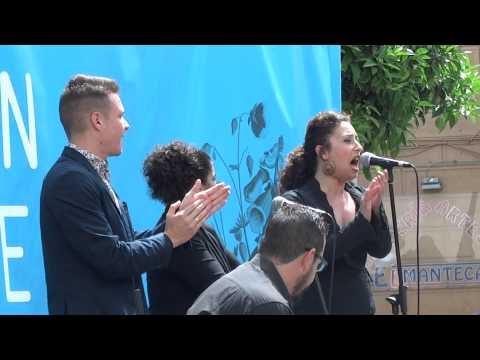 Flamenco CADIZ EN PRIMAVERA. Compañía de Cristian Pérez. Plaza San Francisco. ‬04.05.15