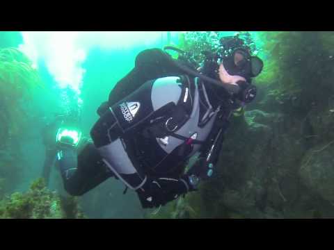 Actualización A.W.L.S. II 2014