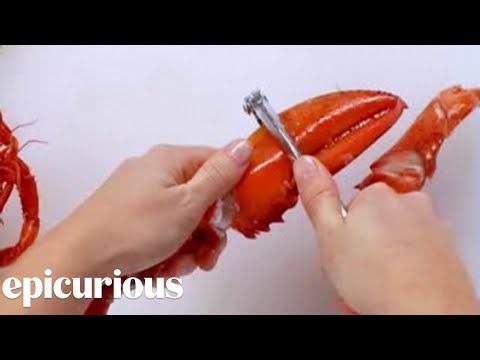 download lagu mp3 mp4 Crack Lobster, download lagu Crack Lobster gratis, unduh video klip Crack Lobster