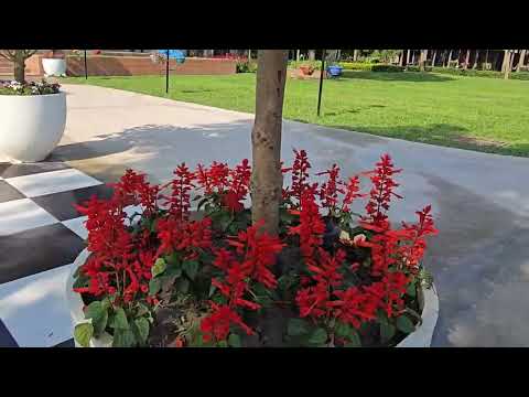 Garden Centre Resort - Full Walkthrough