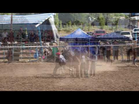 "XXXI Fiesta Provincial del Chacarero y Hombre de Campo"