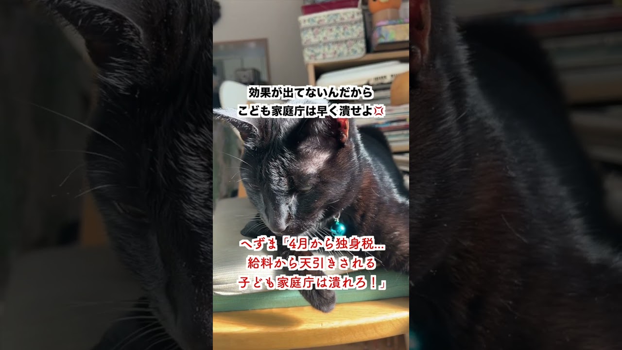 【怒り】4月から独身税「給料から天引きされる...」