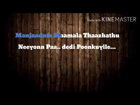 Manjaadum maamala malayalam song karaoke with lyrics|Amar Akbar Anthony film| #karaoke #malayalam