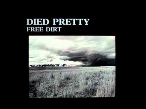 Died Pretty - Next to nothing