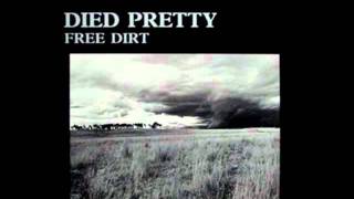 Died Pretty - Next to nothing