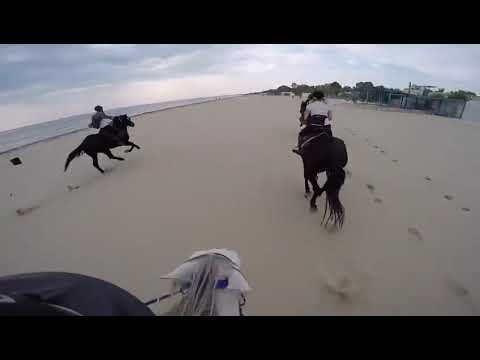 Manfredonia Turismo  a Cavallo