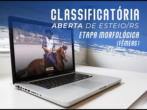 Classificatória Aberta de Esteio - Julgamento Morfológico (Fêmeas)
