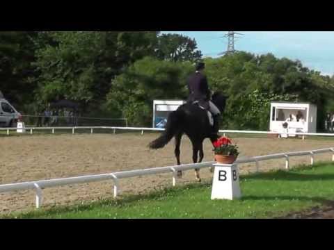 Sabina Schrödter auf San Hallo - Dressurprüfung Kl. S - 09. Juni 2013 Ludwigsburg - Platz 3