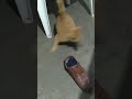 Group Admin Best Video