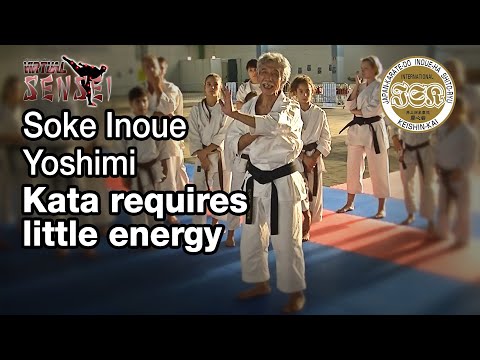 Soke Inoue Yoshimi - Kata requires little energy - Seminar Italy 2013