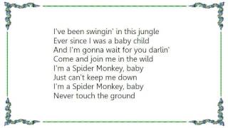 Lita Ford - Spider Monkey Lyrics