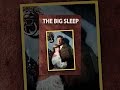 The Big Sleep